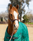 600D Turnout & Stable Blanket