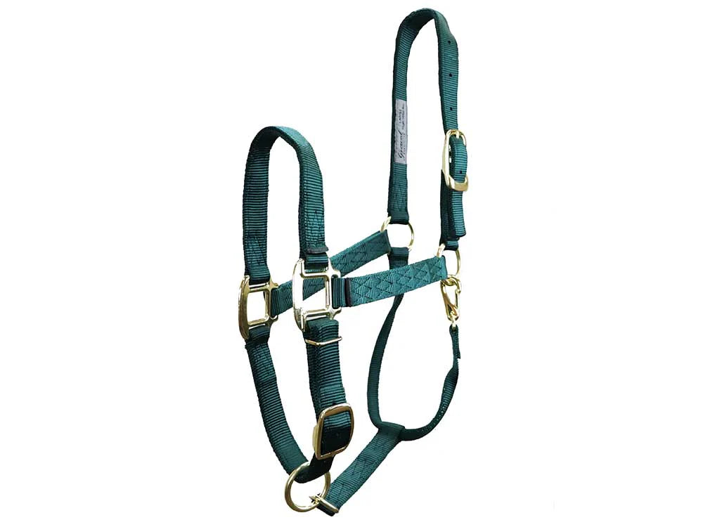 Green Nylon Halter