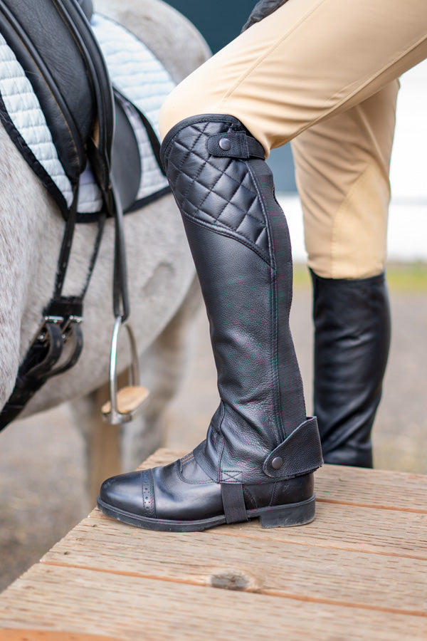 horseback riding half chaps