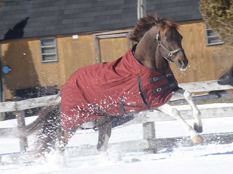 1200D Denier Ripstop Poly Turnout & Stable Blanket