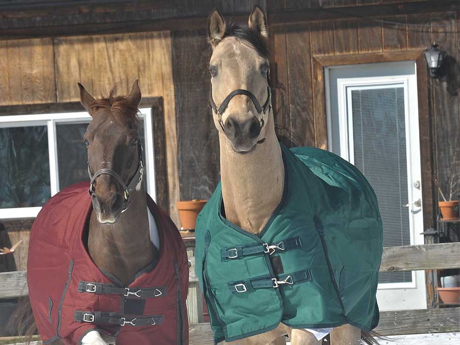 1200D Denier Ripstop Poly Turnout & Stable Blanket