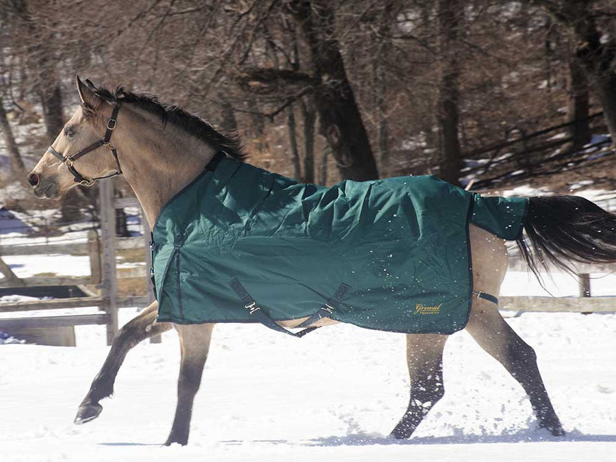 Lightweight Waterproof Turnout Blanket