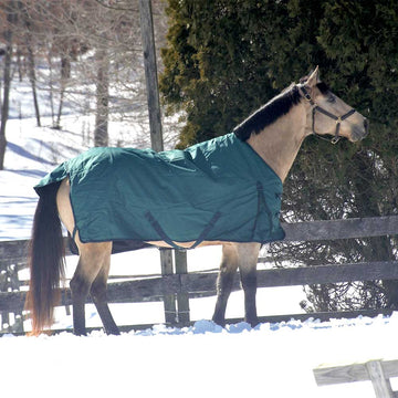 1680D Heavy Weight Turnout Blanket - 300g - 78