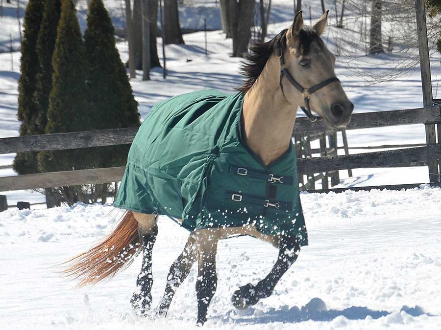 1200D Denier Ripstop Poly Turnout & Stable Blanket