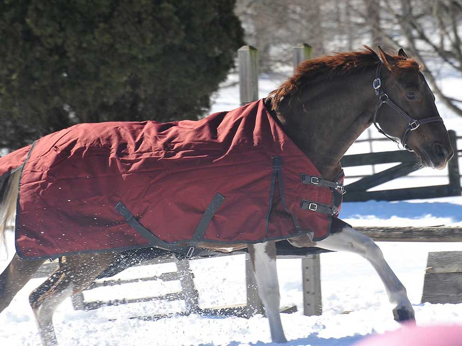 600D Turnout & Stable Blanket