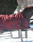Horse wearing a red 600D Turnout & Stable Blanket in a snowy outdoor setting