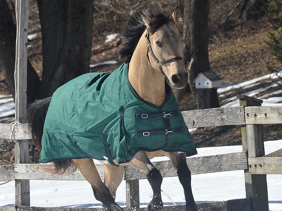 1200D Ripstop Turnout & Stable Blanket