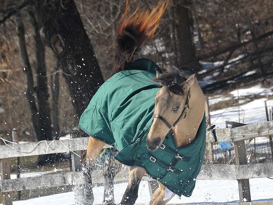 600D Turnout & Stable Blanket