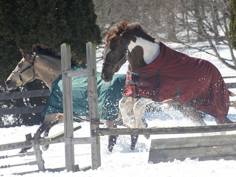 1200D Ripstop Turnout & Stable Blanket