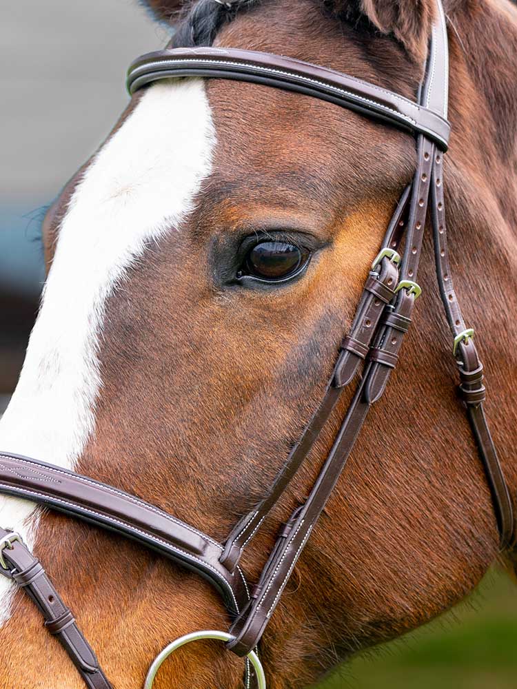 Marco Simone Italian Leather Monocrown Bridle