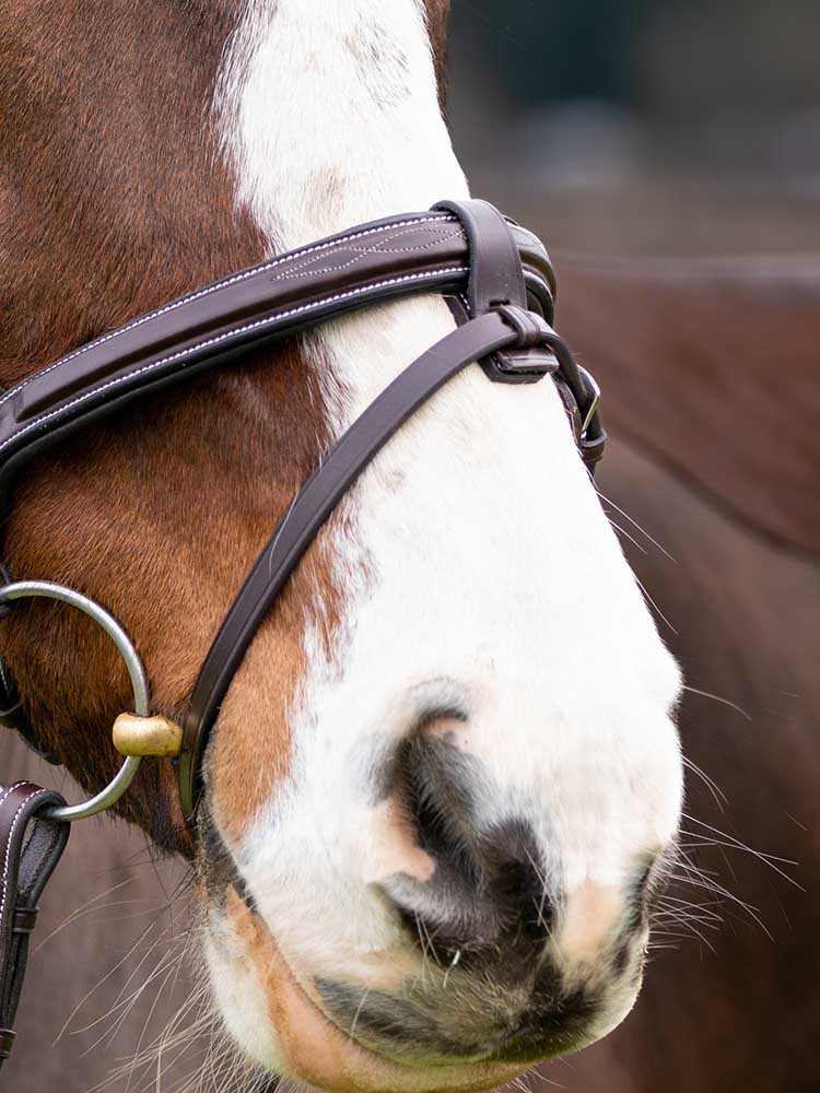 Marco Simone Italian Leather Monocrown Bridle