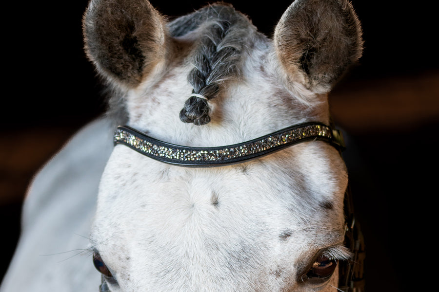 Crystal browband with bling