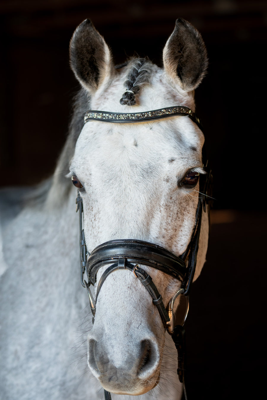 Crystal browband with bling