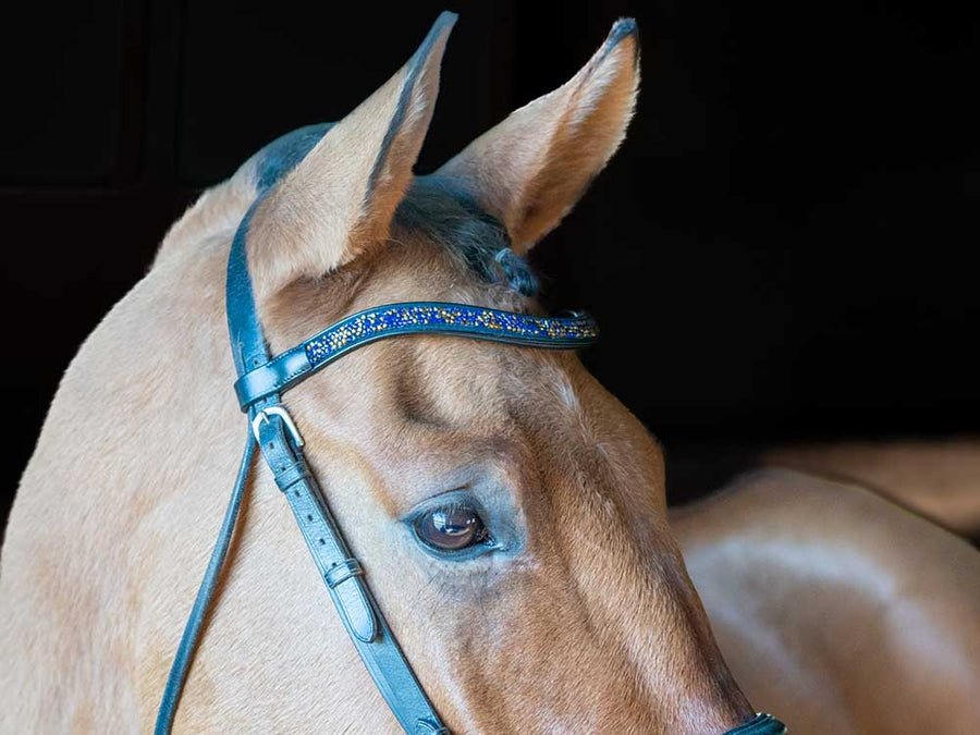 Mid Summer Bedazzled Browband with Bling