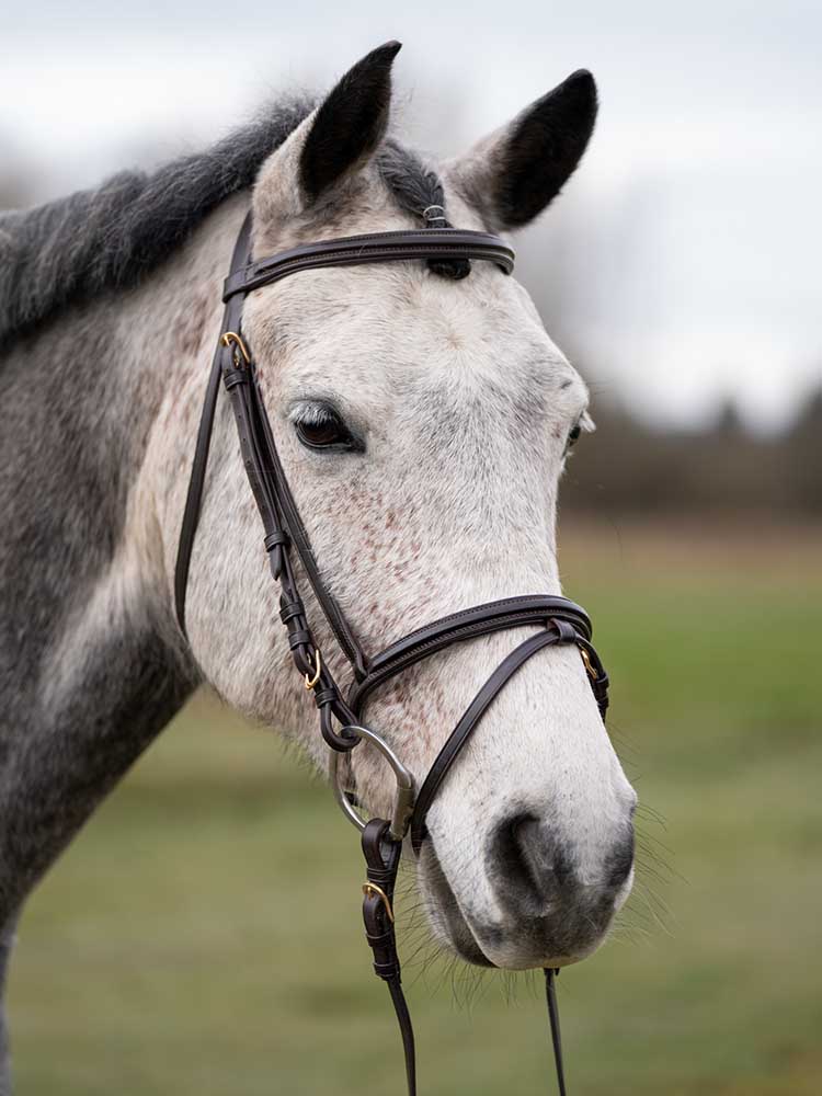 Murphy&#39;s Classic Bridle