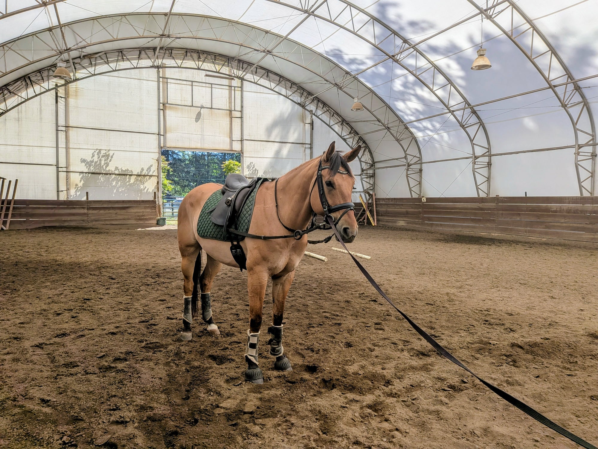 Nylon lunge line