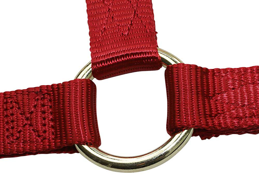 Nylon Horse Halters