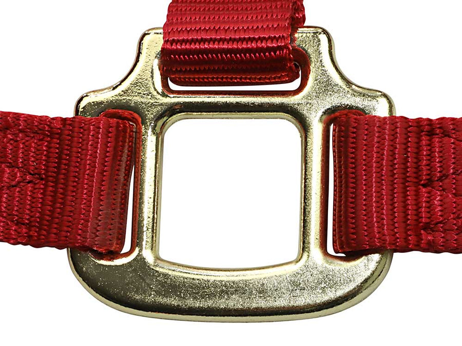 Nylon Horse Halters