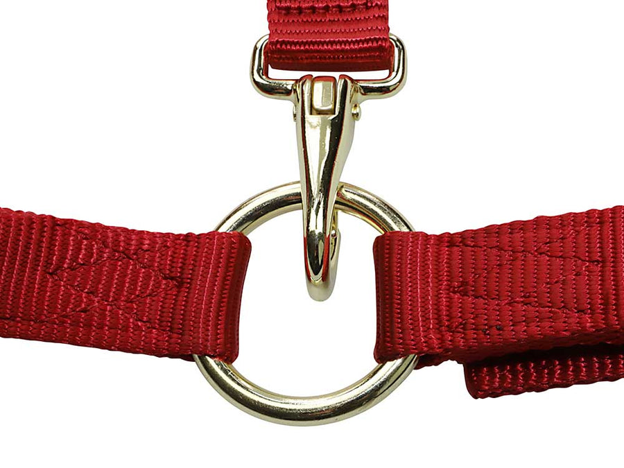 Nylon Horse Halters