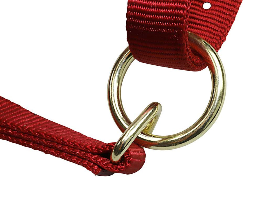 Nylon Horse Halters