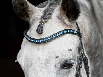 Ocean Floor Crystal Browband with Bling