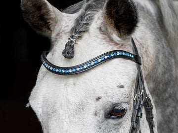 Ocean Floor Browband