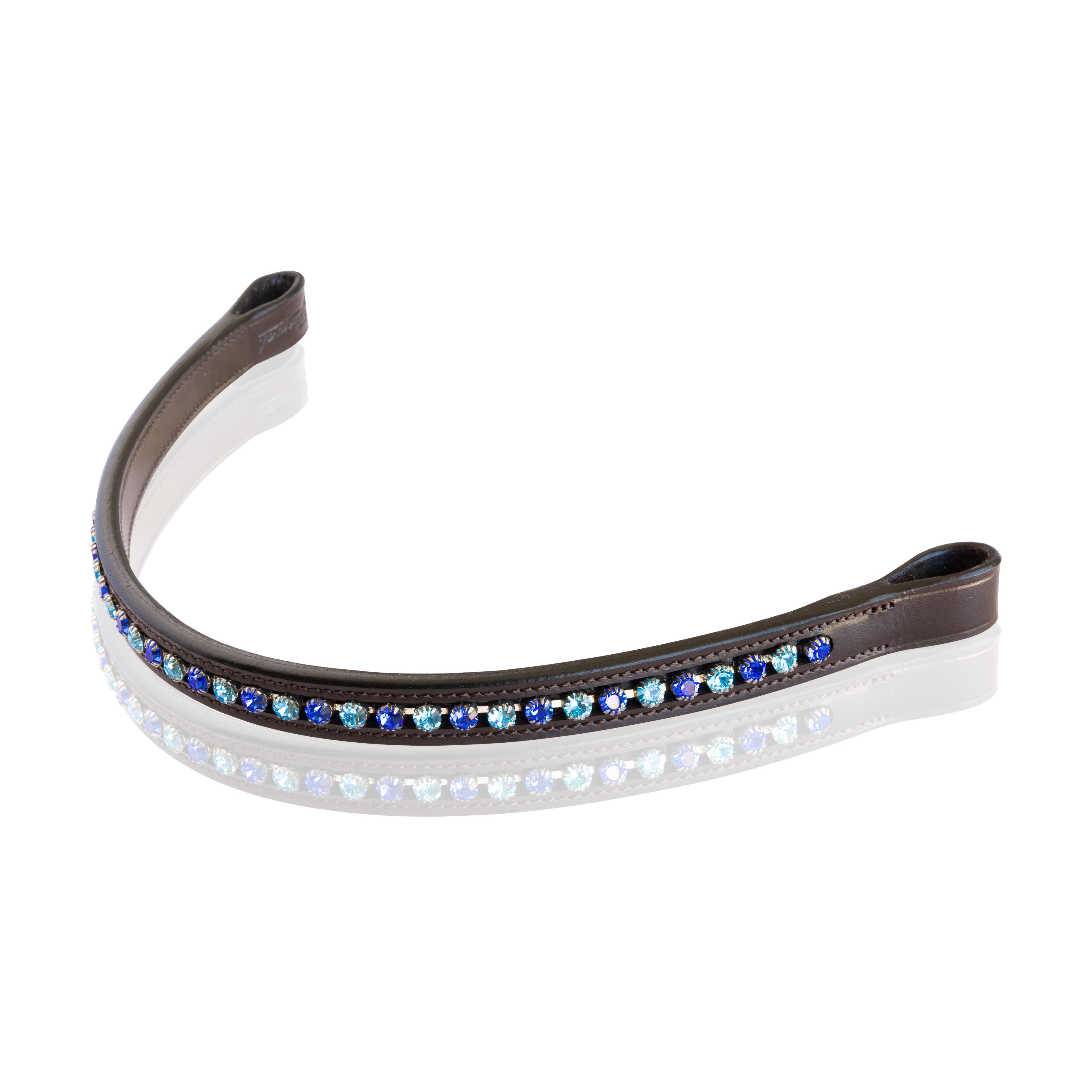 Ocean Floor Browband