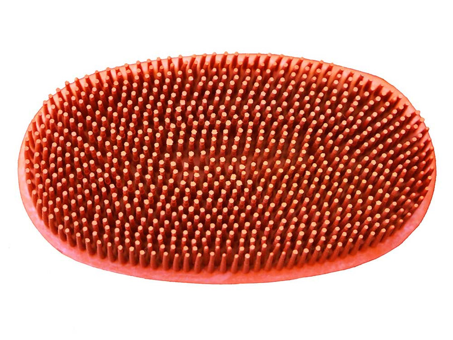 Oval Face Curry Grooming & Bathing Pet Brush