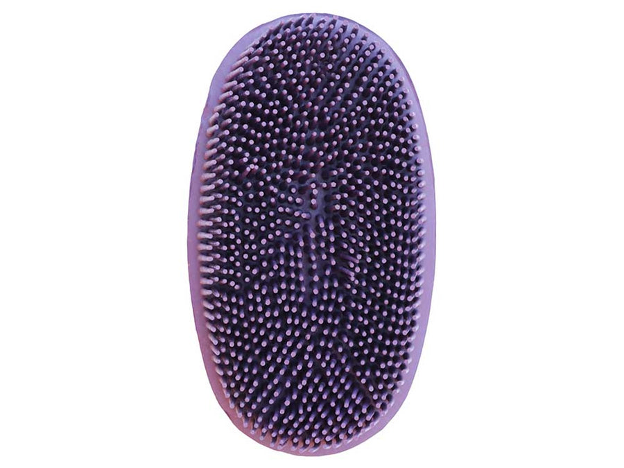Oval Face Curry Grooming & Bathing Pet Brush