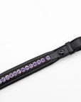Purple Passion Browband