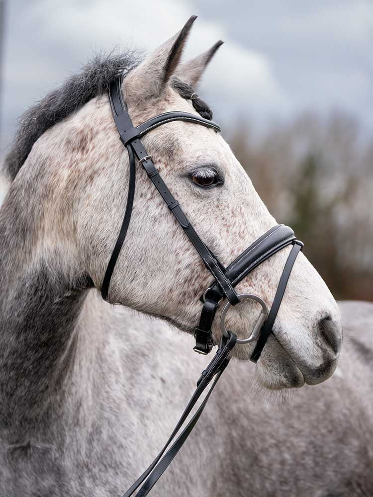 Quail Hollow Raised Snaffle Bridle with Flash