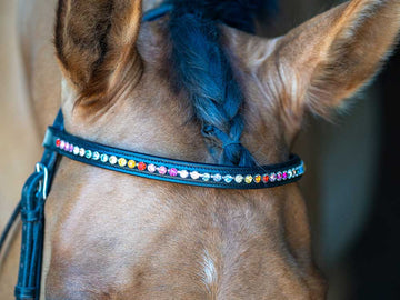 Rainbow Crystal Cup Chain Browband