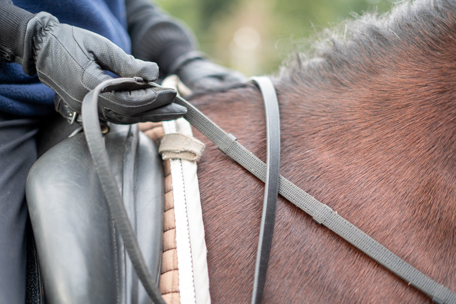 Rubber Lined Leather Reins with Stops