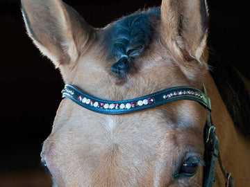 Sangria Ruby Crystal Dressage Browband