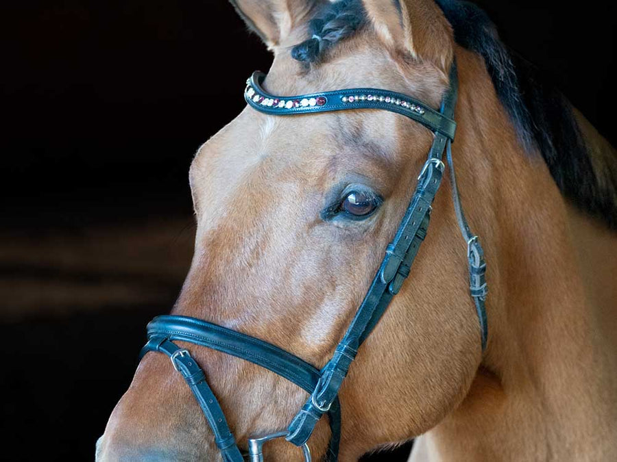 Sangria Ruby Crystal Dressage Browband