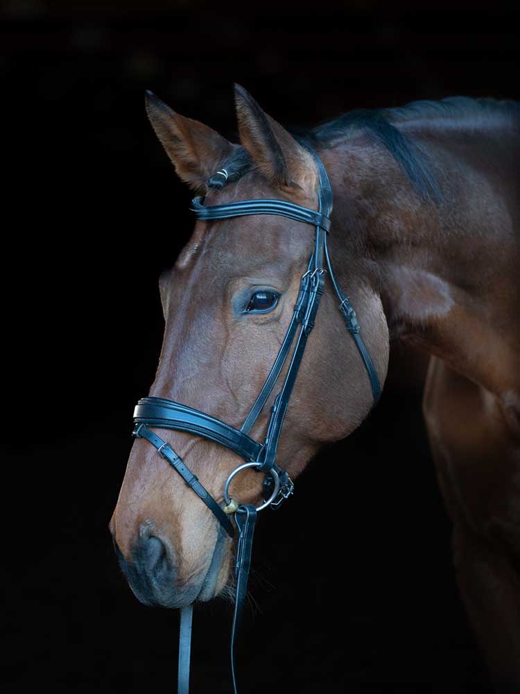 Southport Crank Dressage Bridle with Flash