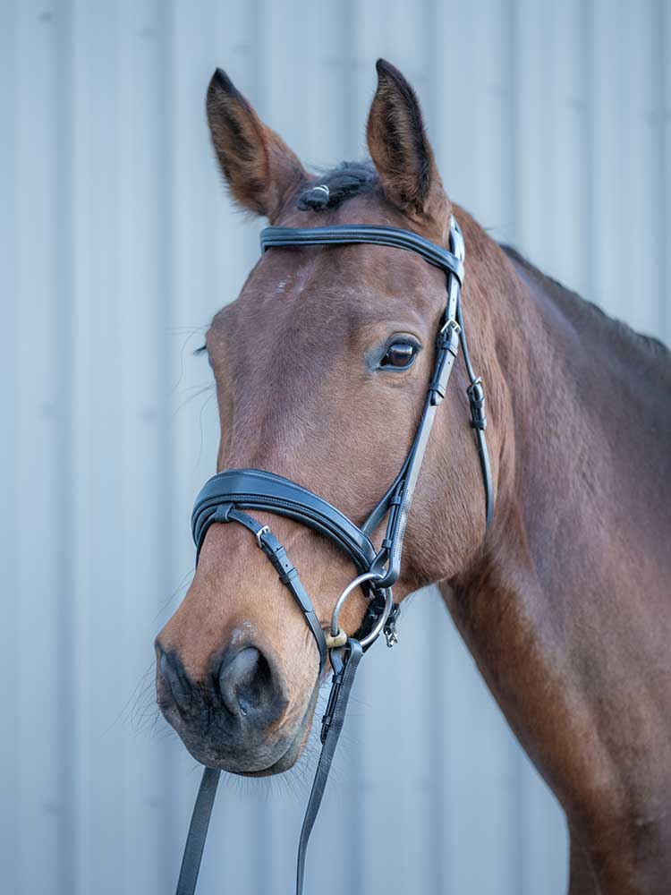 Southport Crank Dressage Bridle with Flash
