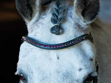 Spring Rose Flower Crystal Browband