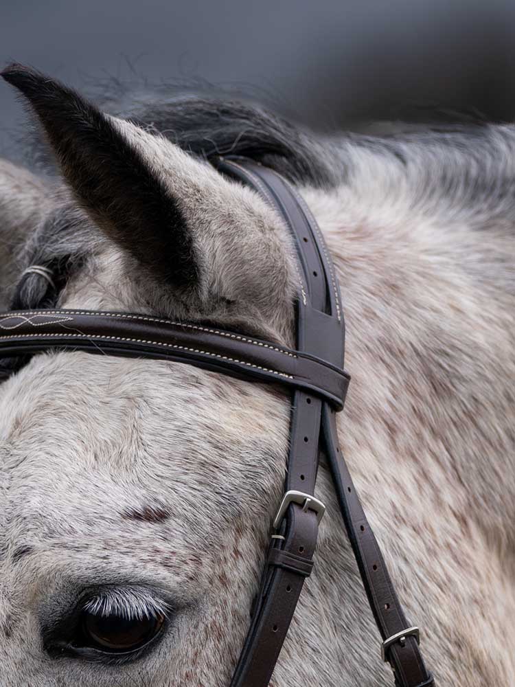 Thornberry Fancy Raised Padded Hunter Bridle