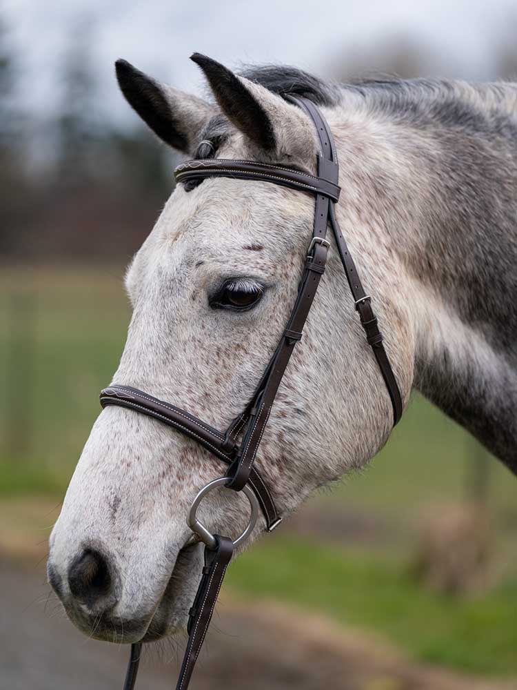 Thornberry Fancy Raised Padded Hunter Bridle