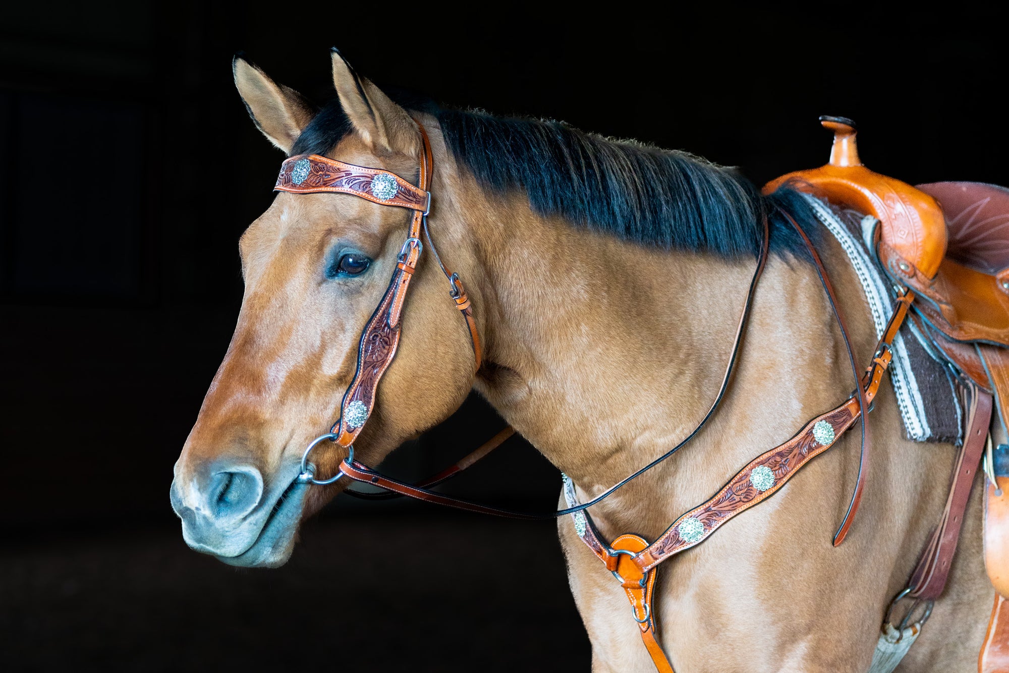 Western Headstall 