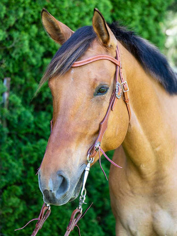 Western Browband Headstall with Ties #466