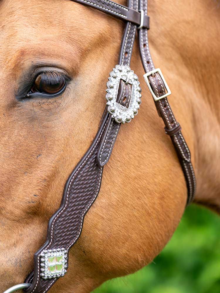Western Chocolate Browband Headstall with Bling