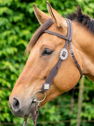 Western Chocolate Browband Headstall with Bling