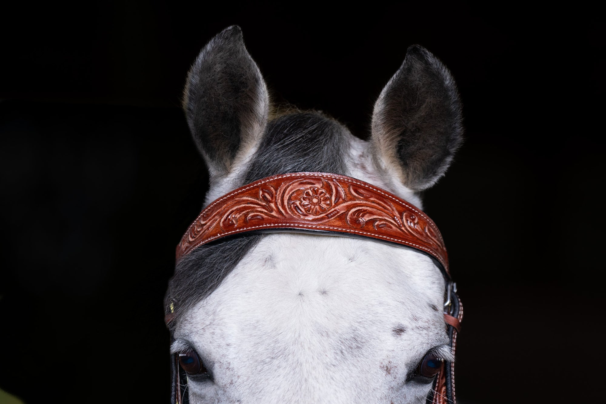 Western Flower tooled browband headstall