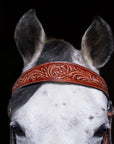 Western Flower tooled browband headstall
