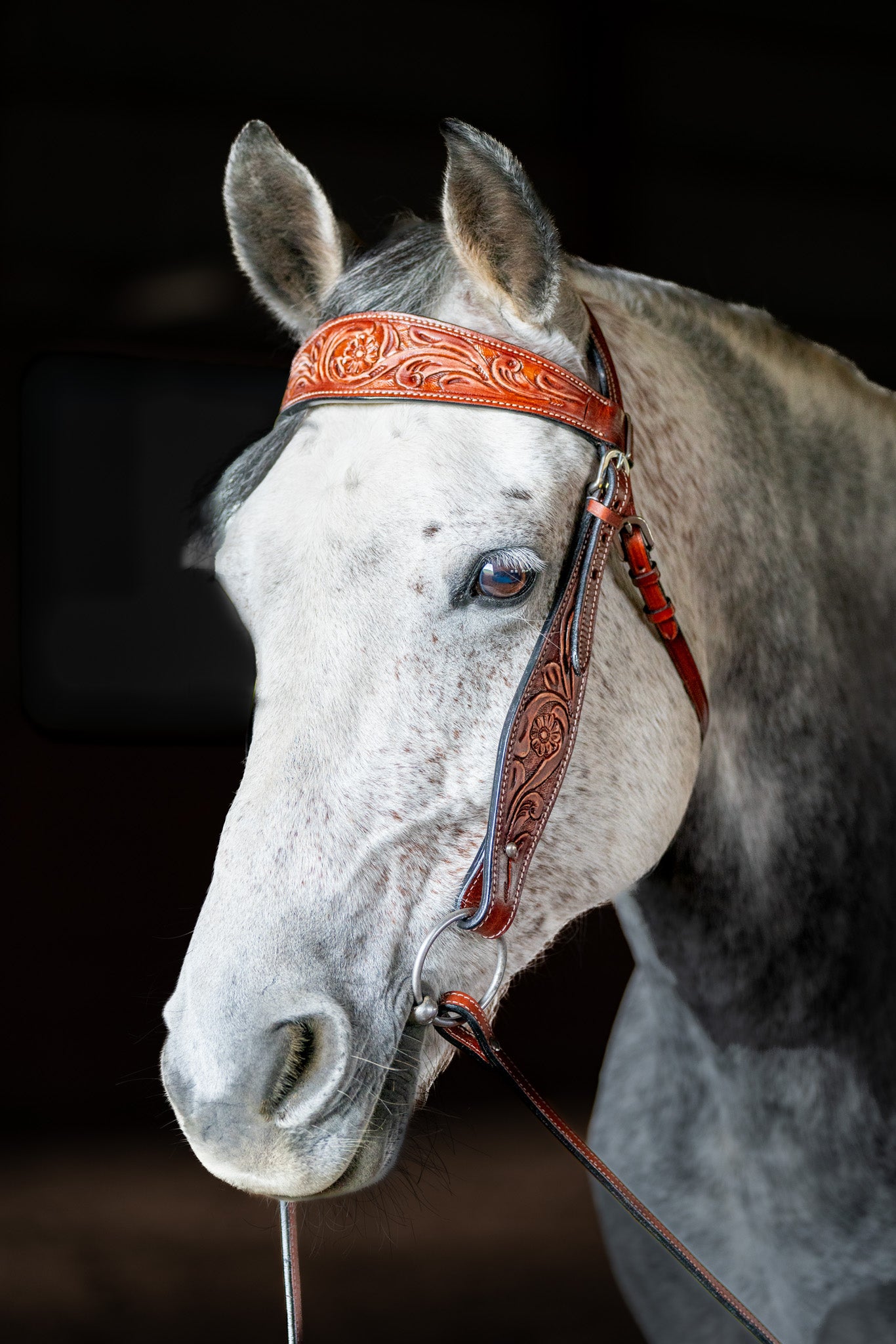 Western Flower tooled Browband headstall