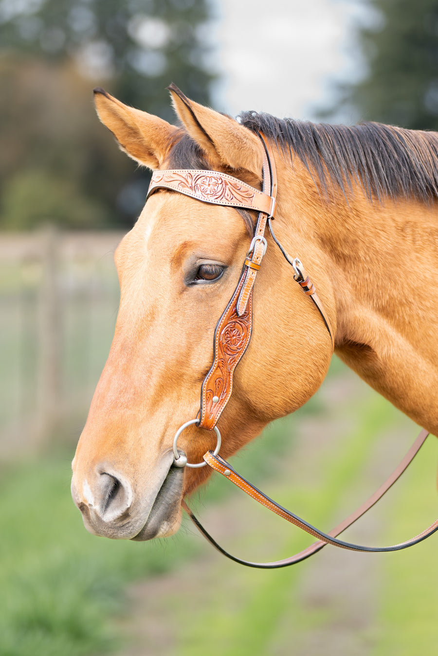 Western Browband Headstall- London Gold