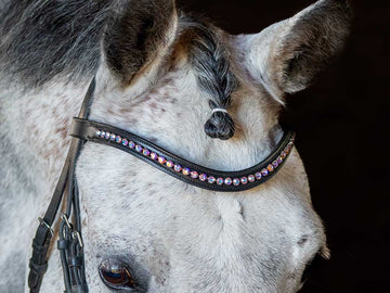 Winter Flower Crystal Browband