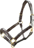 Brown leather horse halter with gold hardware